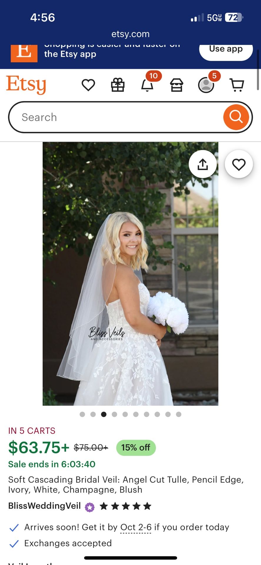 Veil