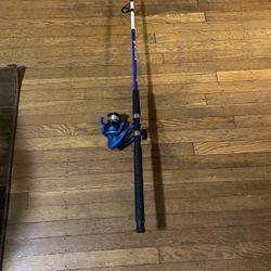 Fishing Pole