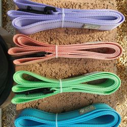 Dog Leashes