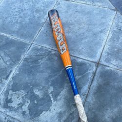 Easton Quantum Bat