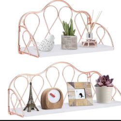 Floating Shelves,Wall Shelf,Rose Gold Wall Mounted Shelves Set of 2