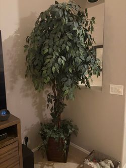 Artificial Ficus Tree - 7ft