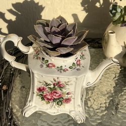 Cute Succulent Planter