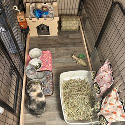 Small Pet Enclosure 