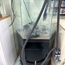 40 Gallon Hex Tank And Stand