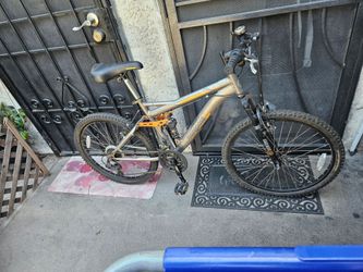 Bike the Mountain size 24"