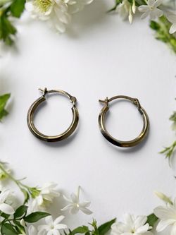 10k Gold Hoops