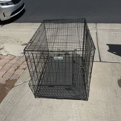 Large Dog Kennel