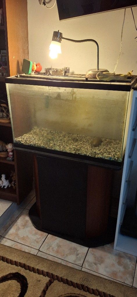 40 Gallon Aquarium With Tabletop Stand 