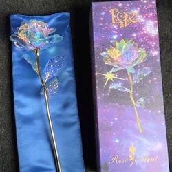 Beautiful Iridescent Rose