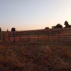 Livestock Fencing