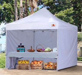 Heavy Duty Commercial 10 ft. W x 10 ft. D Instant Shade Pop-Up Canopy. Nice!