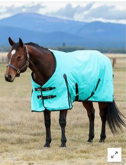 Horse blanket NEW
