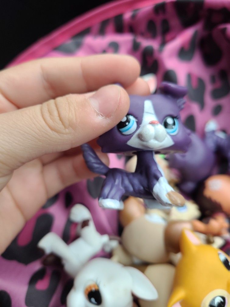 Lps Purple Collie ON HOLD DO NOT BUY