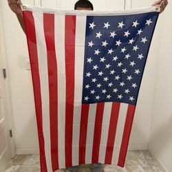 20" American Flag 