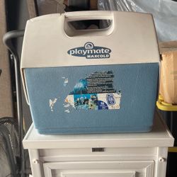 Igloo Max Cold Cooler