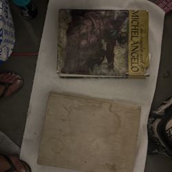 Leonardo, Da Vinci And Michelangelo Complete Books, Coffee Table Books Little Water Damage, And One Is Missing The Cover