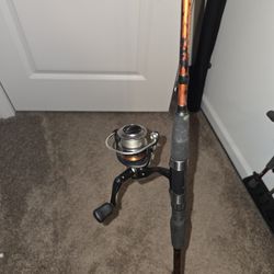 Abu Garcia Cardinal Z Fishing Rod