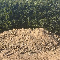FREE Fill Dirt