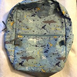 Youth Boys Backpack With Lunch Bag 