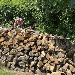 Seasoned Wood For Sale