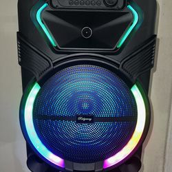 Rechargeable Music player - 15” Woofer  MICROPHONE & CHARGER INCLUDED ! Bluetooth - Fm Radio - Rechargeable  USB PORT - SD MEMORY SLOT - Portable  Com