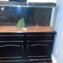 Acrylic fish tank with Stand.