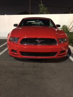 Mustang Convertible 2014