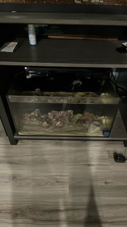 30 Gallon Saltwater Tank With Live Rock