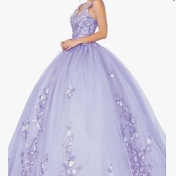 New Beautiful  Quinceañera Dress 