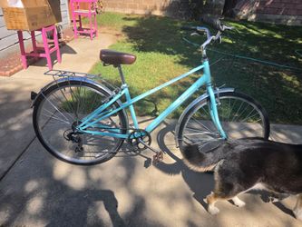 Schwinn Bicycle
