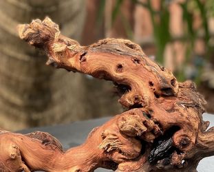 Mopani African Wood Decor