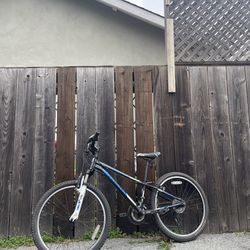 Trek Mt 220            24” Bike 