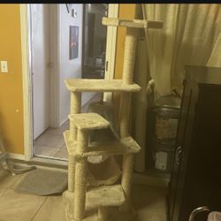 Cat Tower