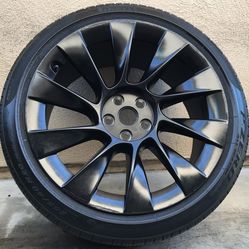 Tesla Model Y Induction 20” Wheel