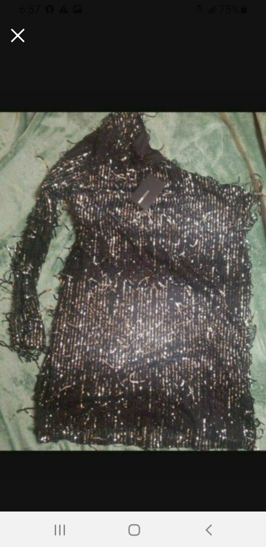 Fashion Nova Sequins Dress ( XL Fit)