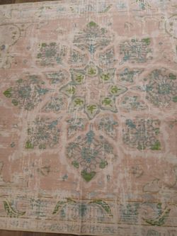 10x7 pink and jade Area Rug Brand New