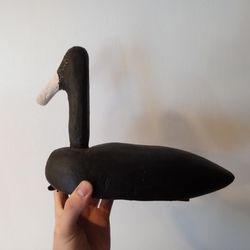 Antique Style Long Island  Root Head Coot Duck Decoy