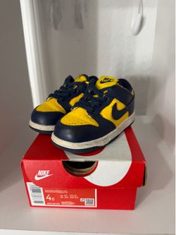 4C Nike Dunks
