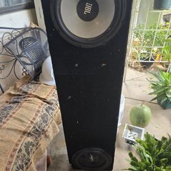 10" Custom Box For Avalanche With Woofers