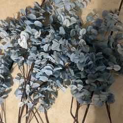 21” Inch Blue Eucalyptus 12 Pieces 