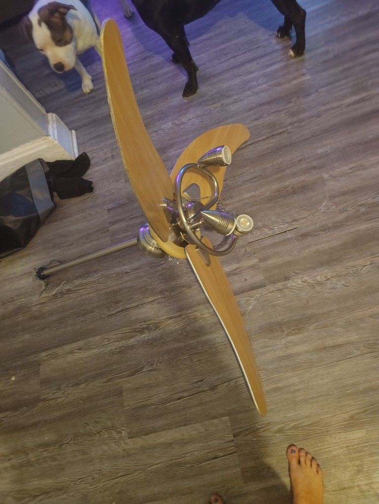 Ceiling Fan
