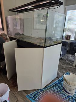Red Sea Reefer P650 Peninsula