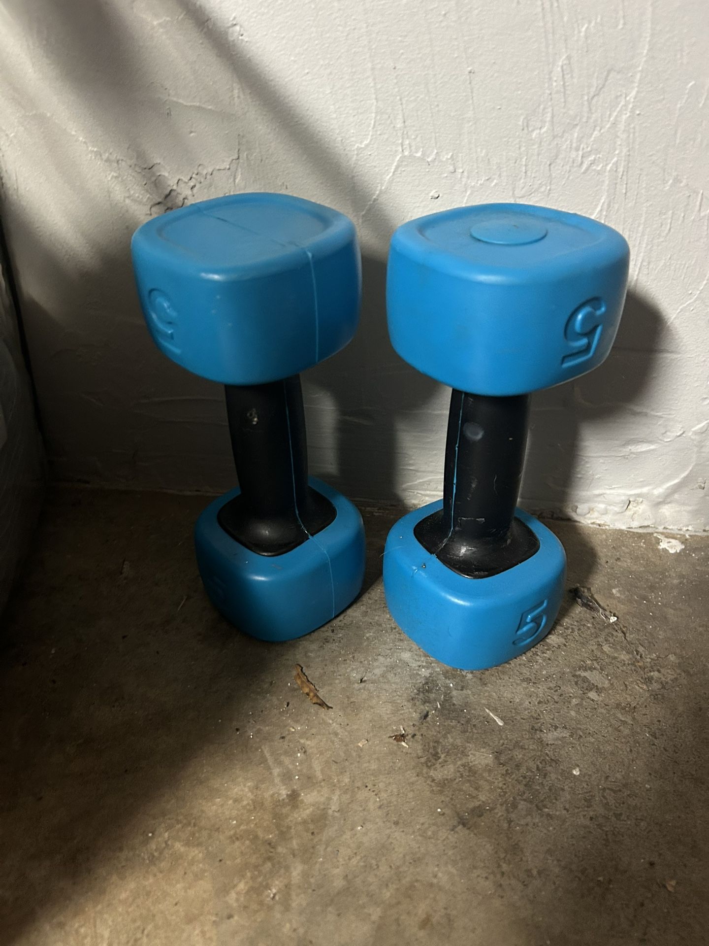 5 Lb Weights