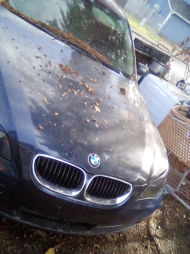 FREE!!! BMW...MUST BE GONE TODAY