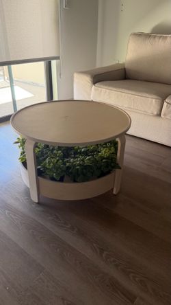 IKEA coffee table w/ plant decor