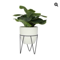 Pilea Artificial Plant 