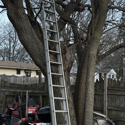 Aluminum 14 ft Ladder