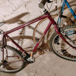 Trek Bikes