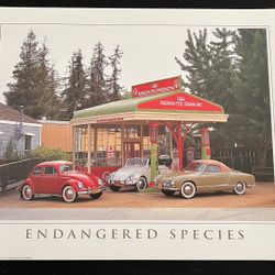 Endangered Species - VW Poster - 16x20